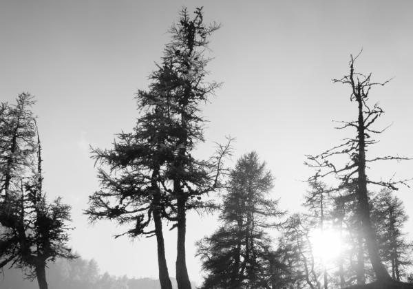 Haldensteiner Calanda 11OCT15