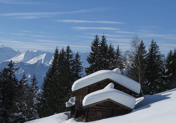 Sassauna Schiers 19JAN19